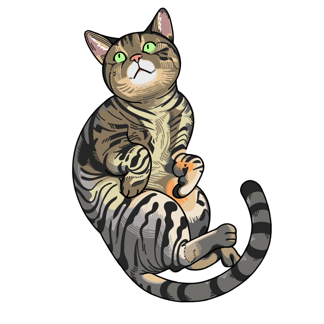 ねこちゃん